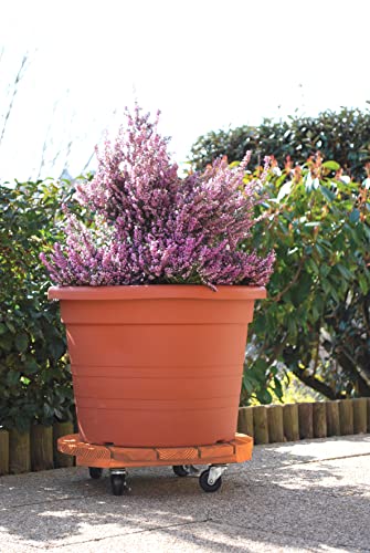 louis-moulin-roule-plante-bois-rond-40-cm-merisier image 4