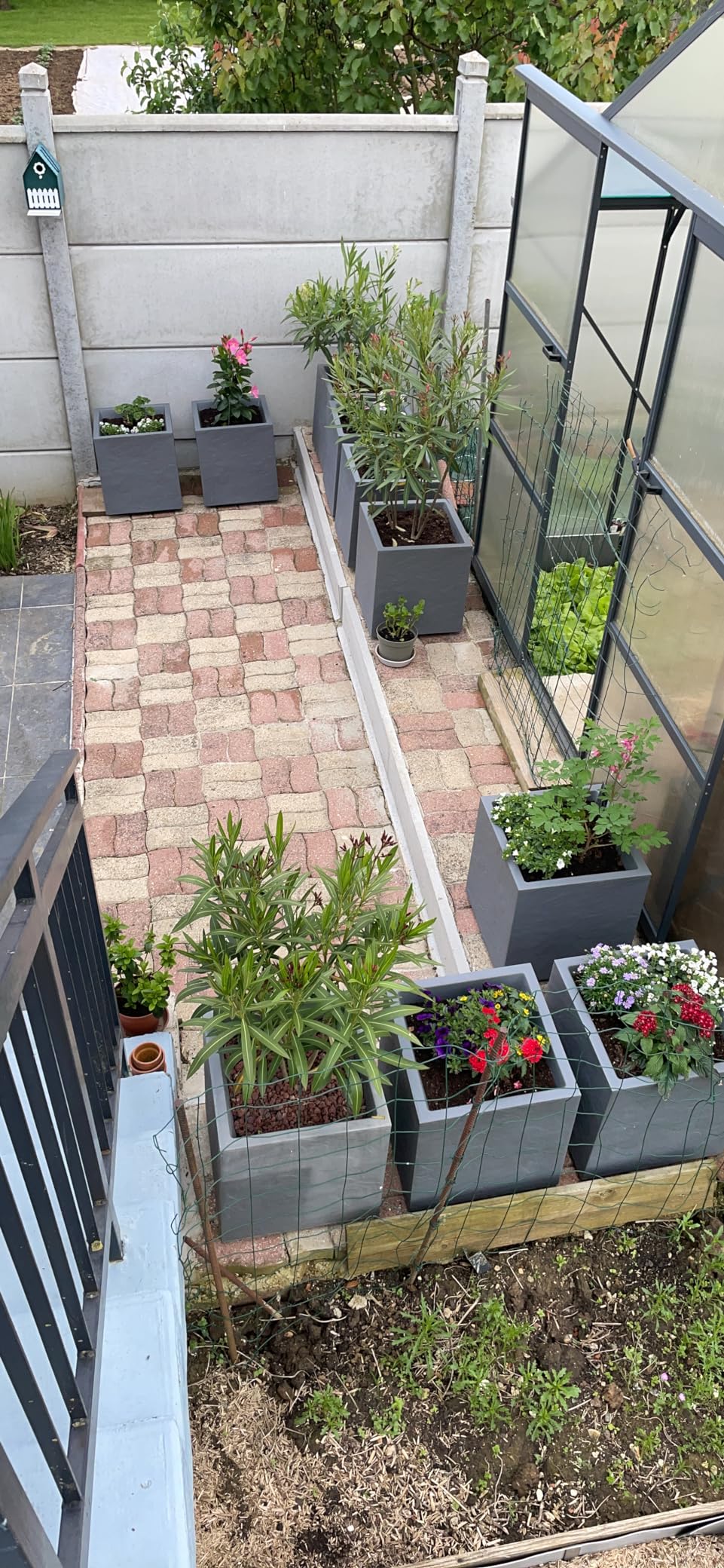 Idéal pour terrasse moderne