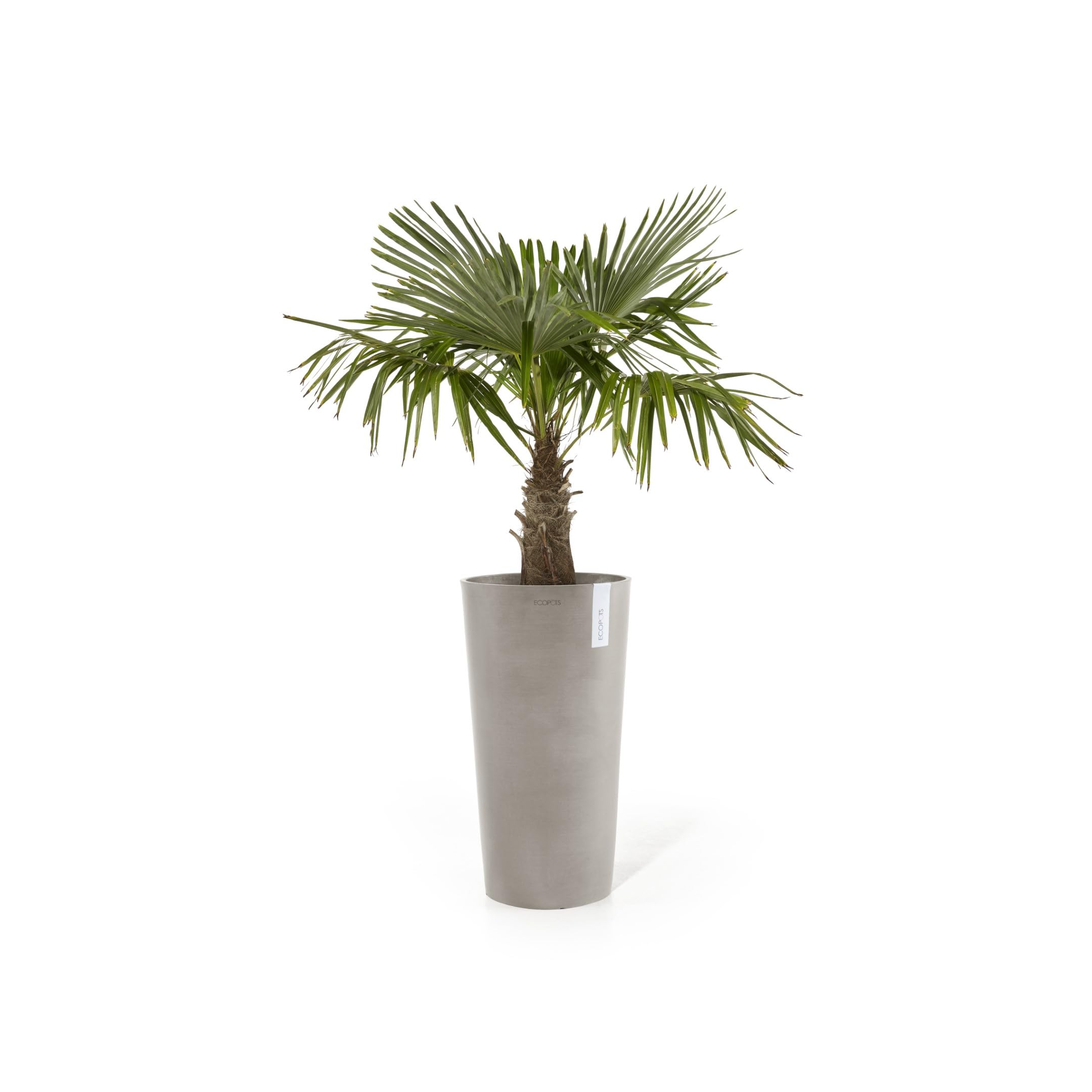 ecopots-amsterdam-mid-high-pot-haut-34-x-h-66-cm-int-rieur-ext-rieur image 2