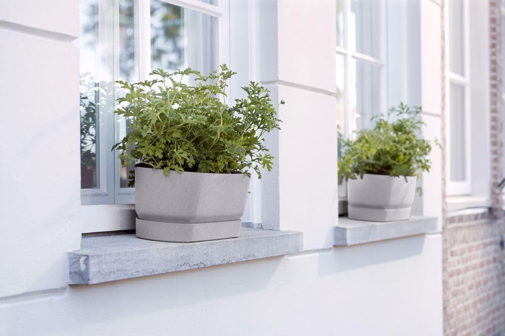 elho-greenville-long-50cm-jardini-re-living-ciment image 6