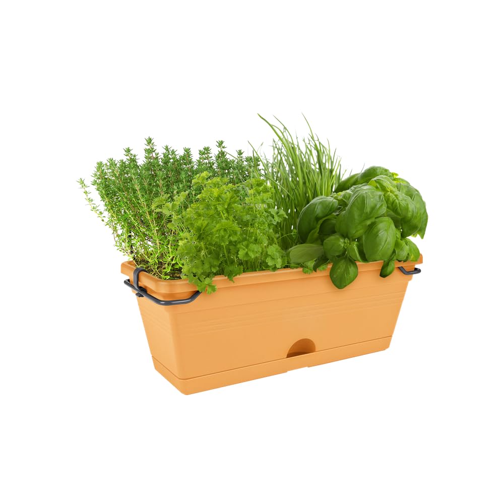 elho-green-basics-balconni-re-mini-30-cm-mild-terra image 6