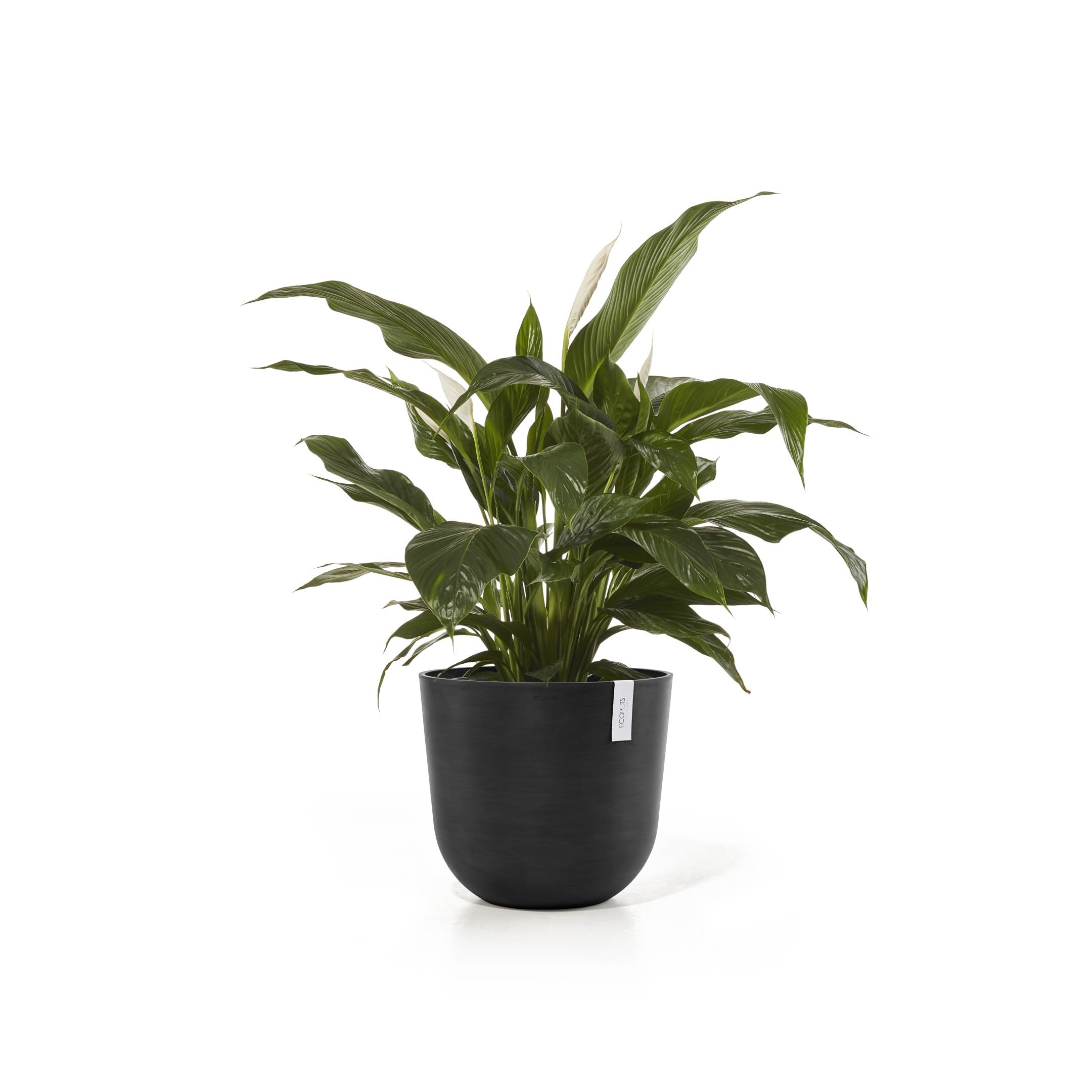 ecopots-pot-rond-oslo-45-gris-fonc-r-servoir-d-eau-45-x-h-39-2-cm-46-6-l image 2