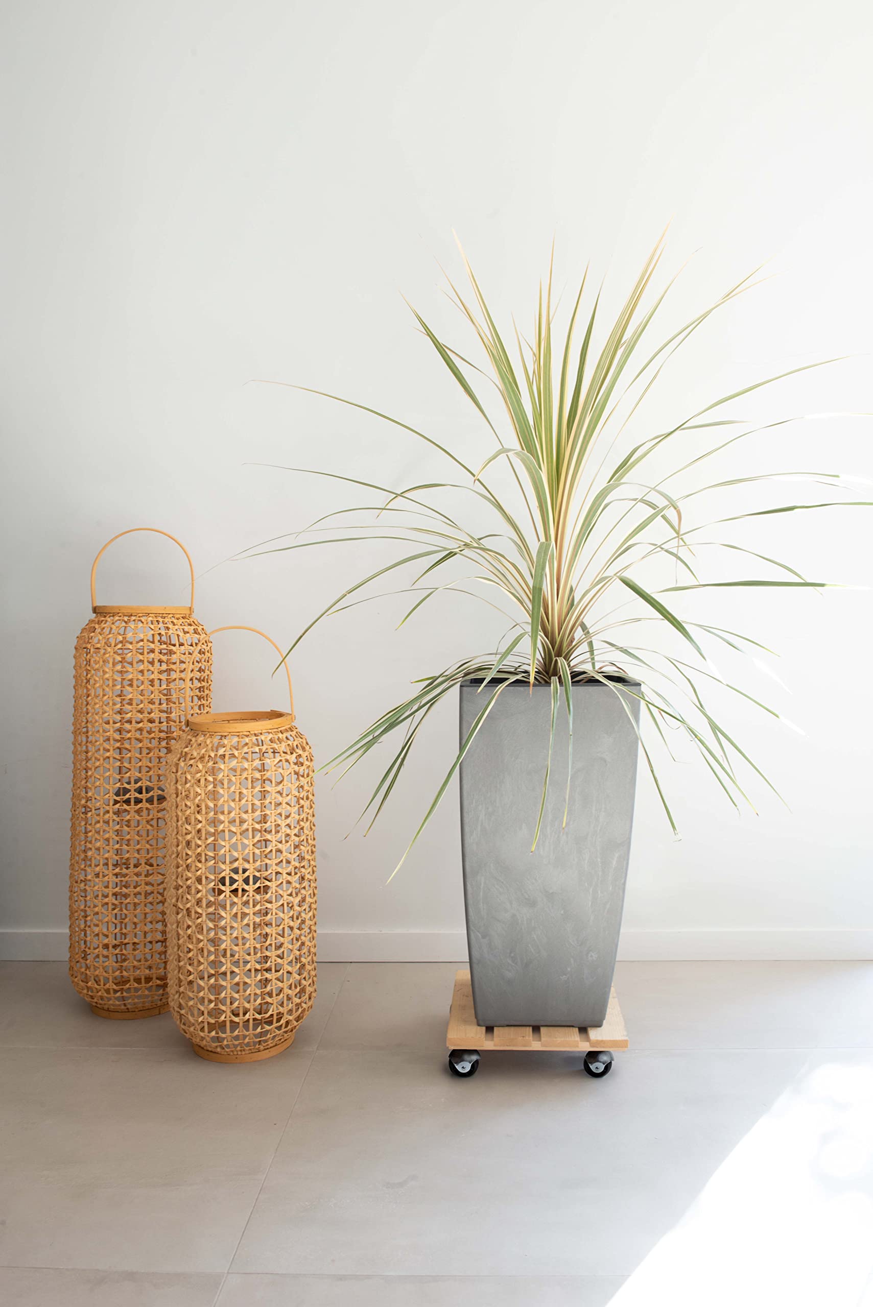 louis-moulin-basics-roule-plante-bois-carr-30x30-cm-brut image 3