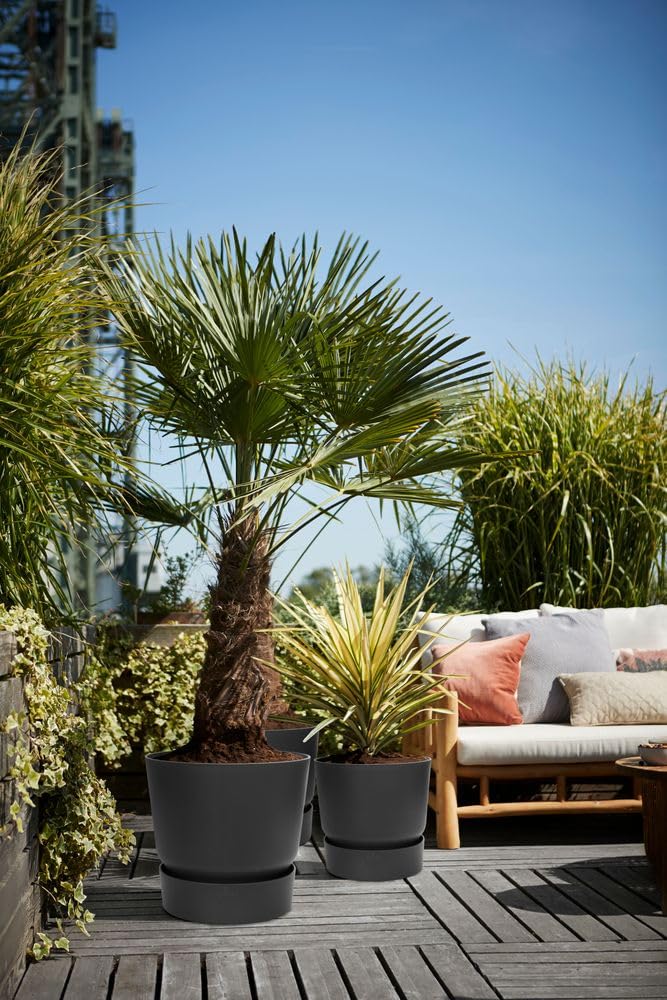 elho-greenville-rond-40-cm-pot-de-fleur-avec-soucoupe-int-gr-e-living-noir image 7