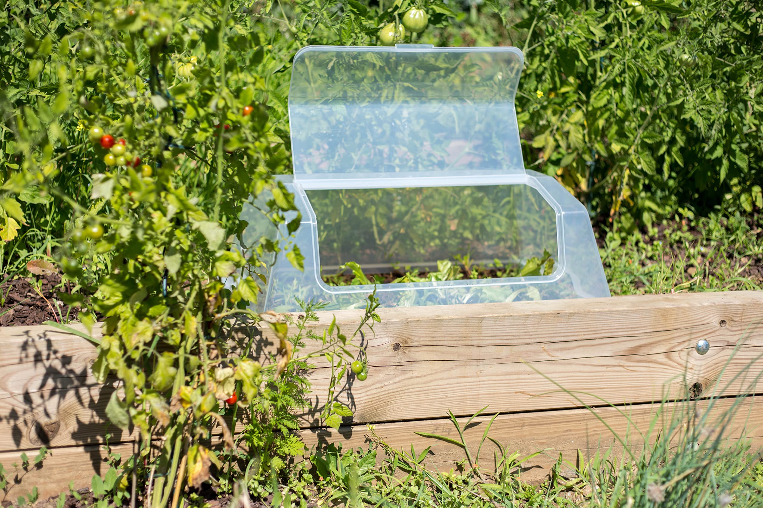 eda-serre-de-culture-pour-espace-potager-veg-table-max-transparent image 5