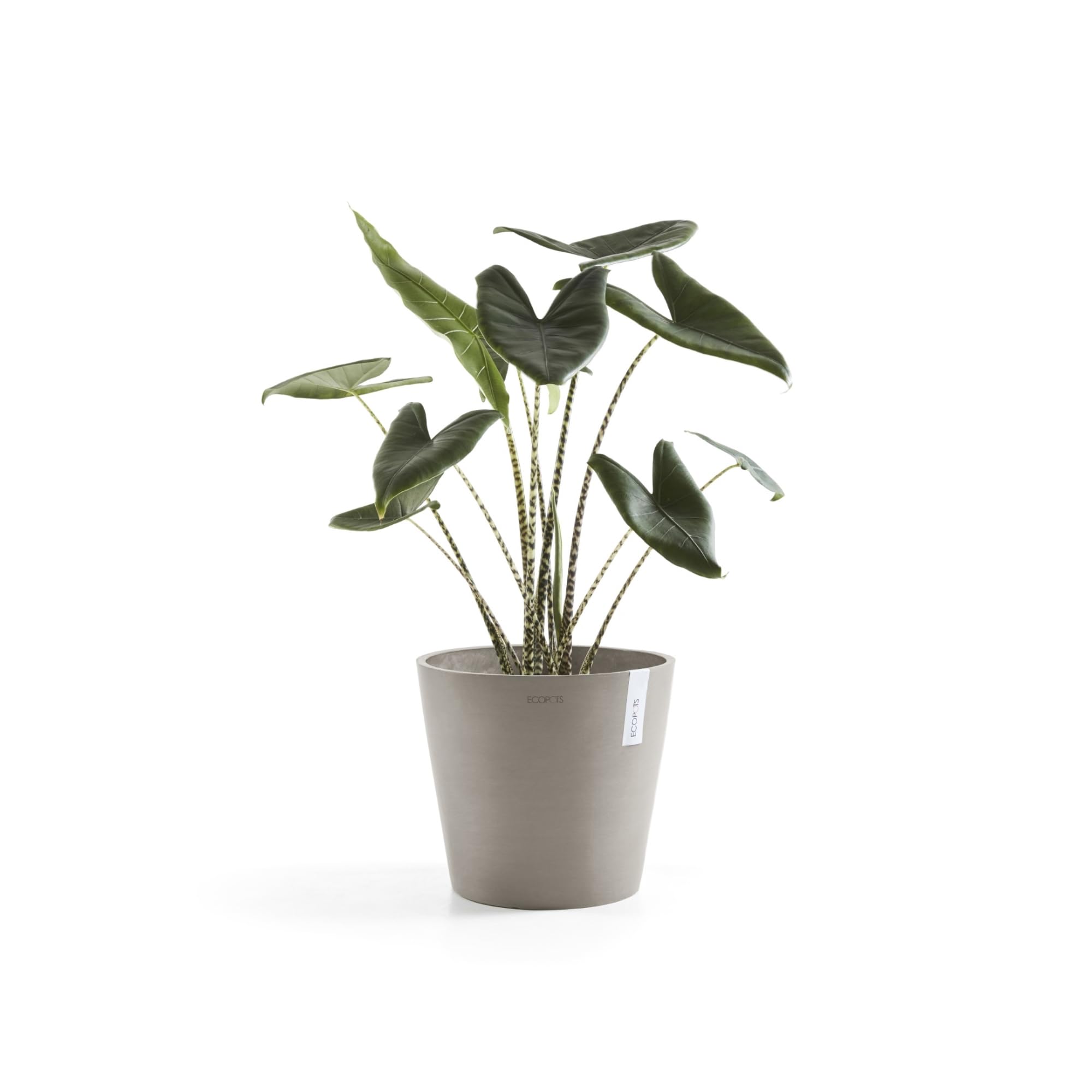 ecopots-amsterdam-25-pot-rond-9-7-l-taupe image 5