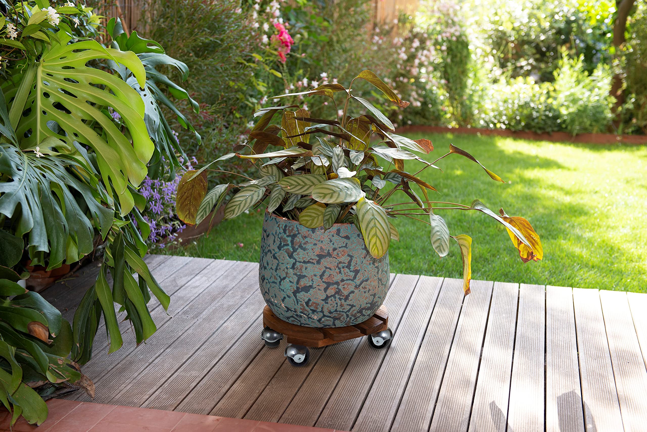 louis-moulin-basics-roule-plante-bois-rond-30-cm-naturel image 2