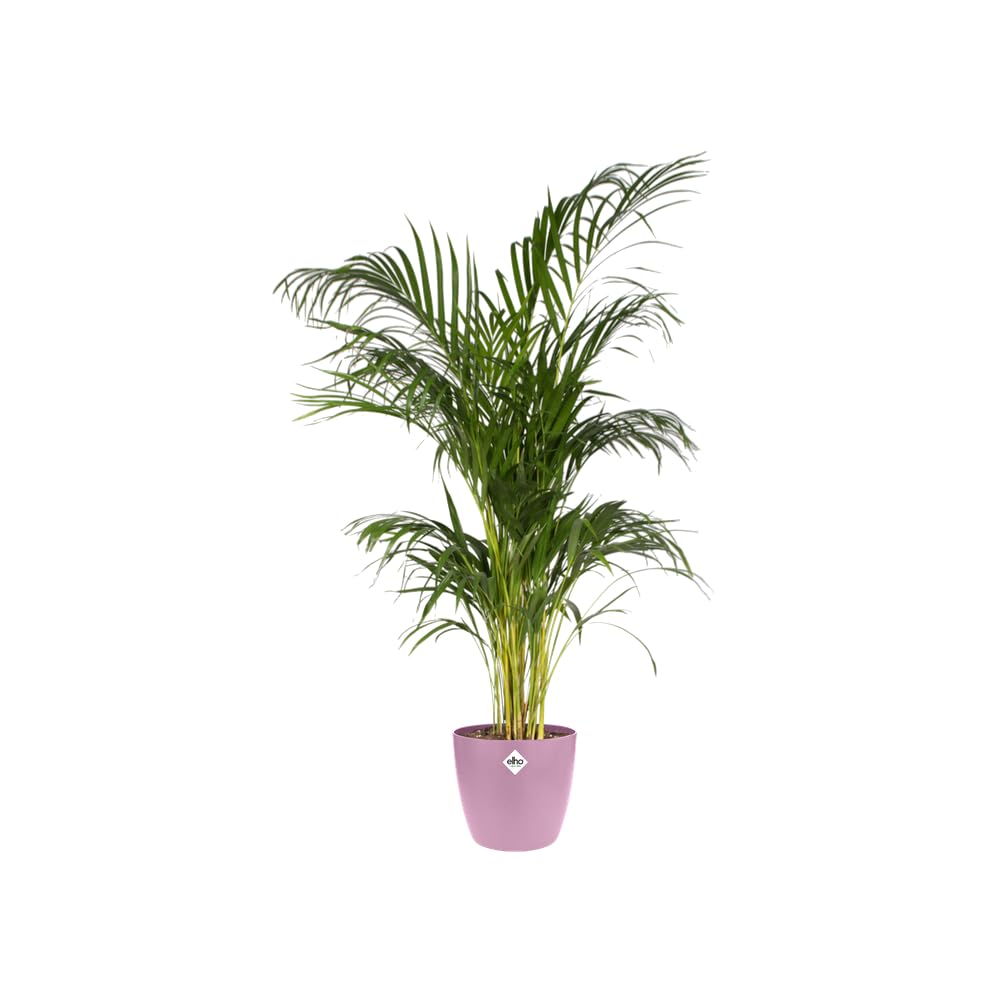elho-brussels-rond-14-cm-cache-pot-violet-vif image 8