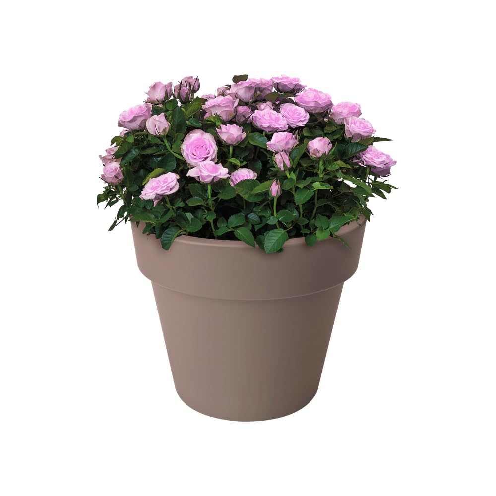 elho-green-basics-top-planter-23-cm-pot-de-fleur-taupe-23-x-h-19-6-cm image 6