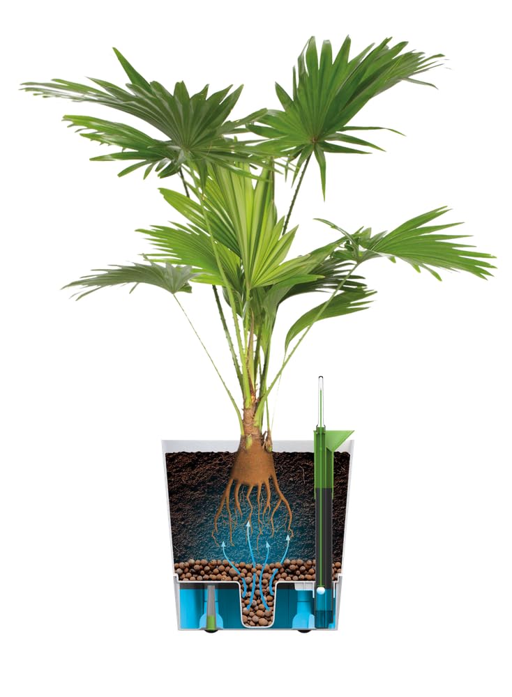 elho-greensense-aqua-care-carr-30-cm-ciment-clair-29-5-x-29-5-x-h-30-2-cm image 5