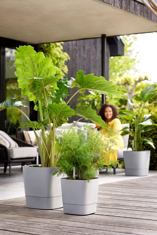 elho-greensense-aqua-care-carr-30-cm-ciment-clair-29-5-x-29-5-x-h-30-2-cm image 7