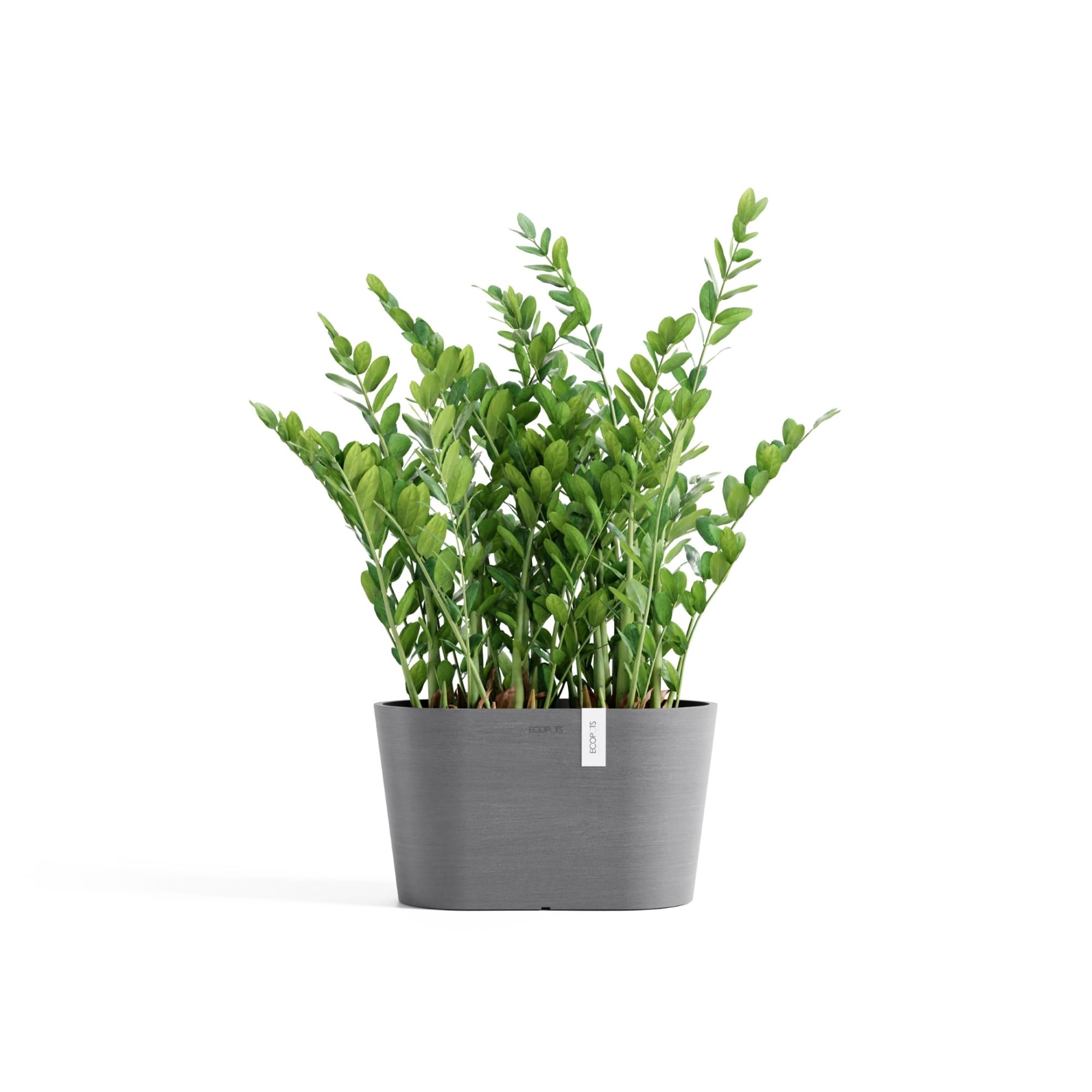 ecopots-tokyo-30-pot-ovale-grey-avec-r-servoir-d-eau-29-8-cm image 5