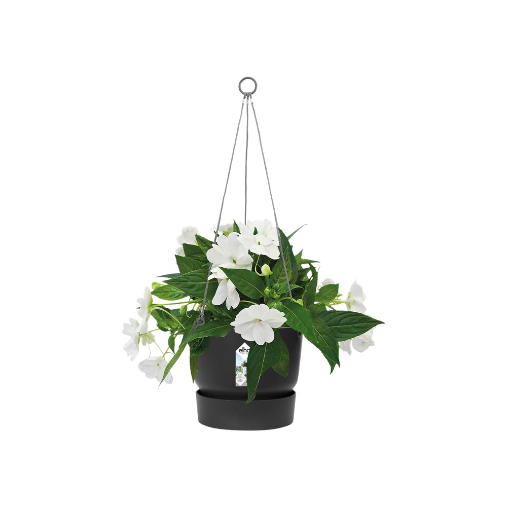 elho-greenville-suspension-24-cm-balconni-re-living-noir image 3
