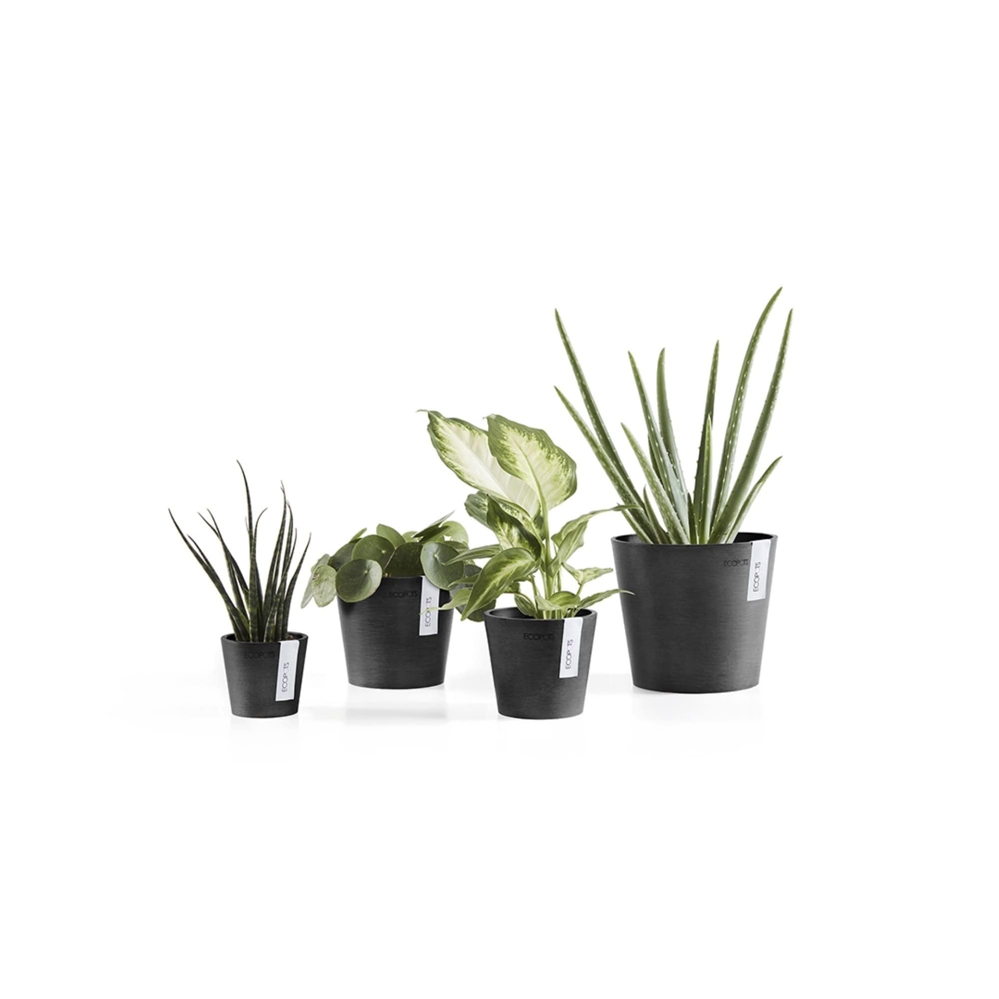 ecopots-amsterdam-mini-d13-x-h-11-4-cm-pot-de-fleur-gris image 7