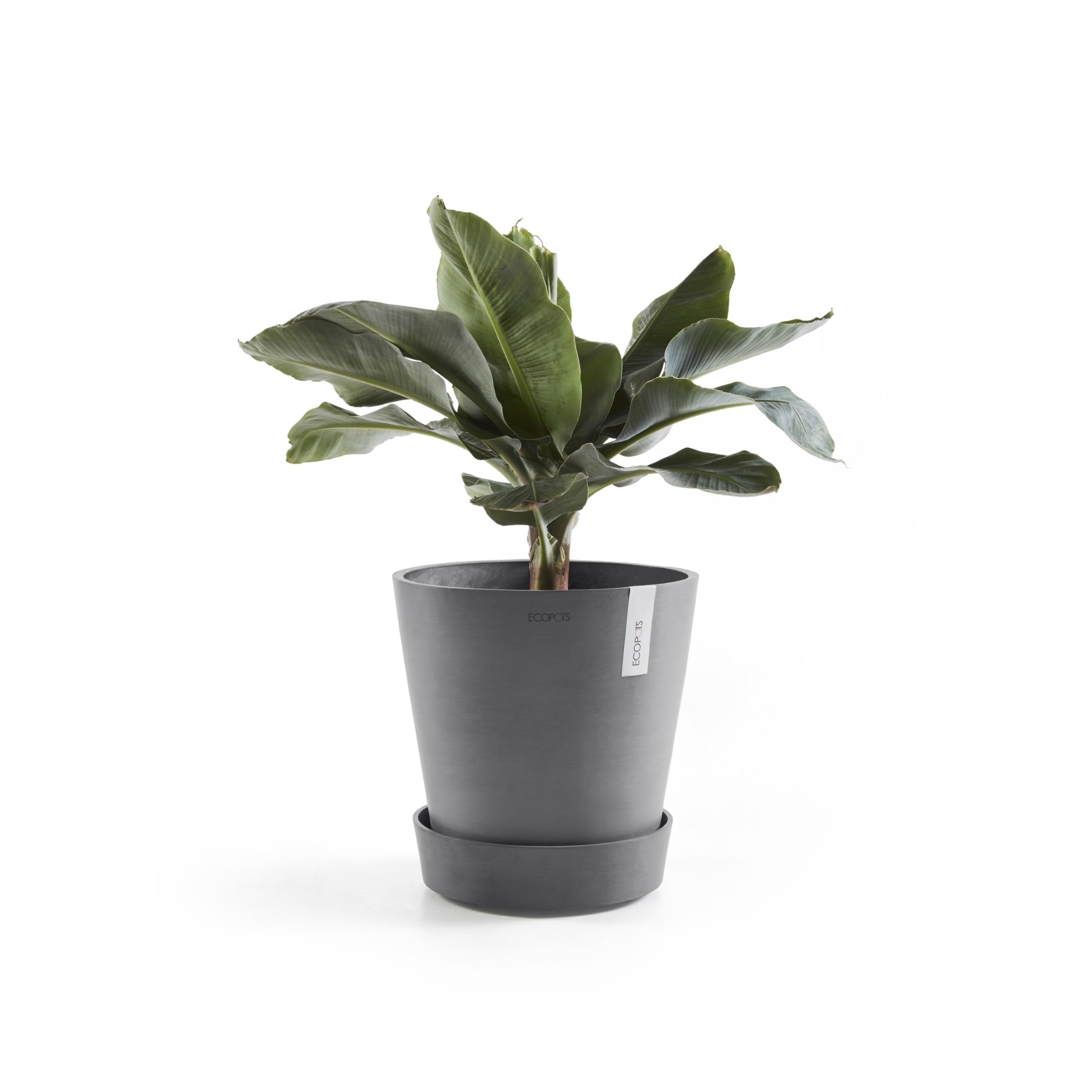ecopots-plateau-amsterdam-sur-roues-41-6-cm-gris image 4