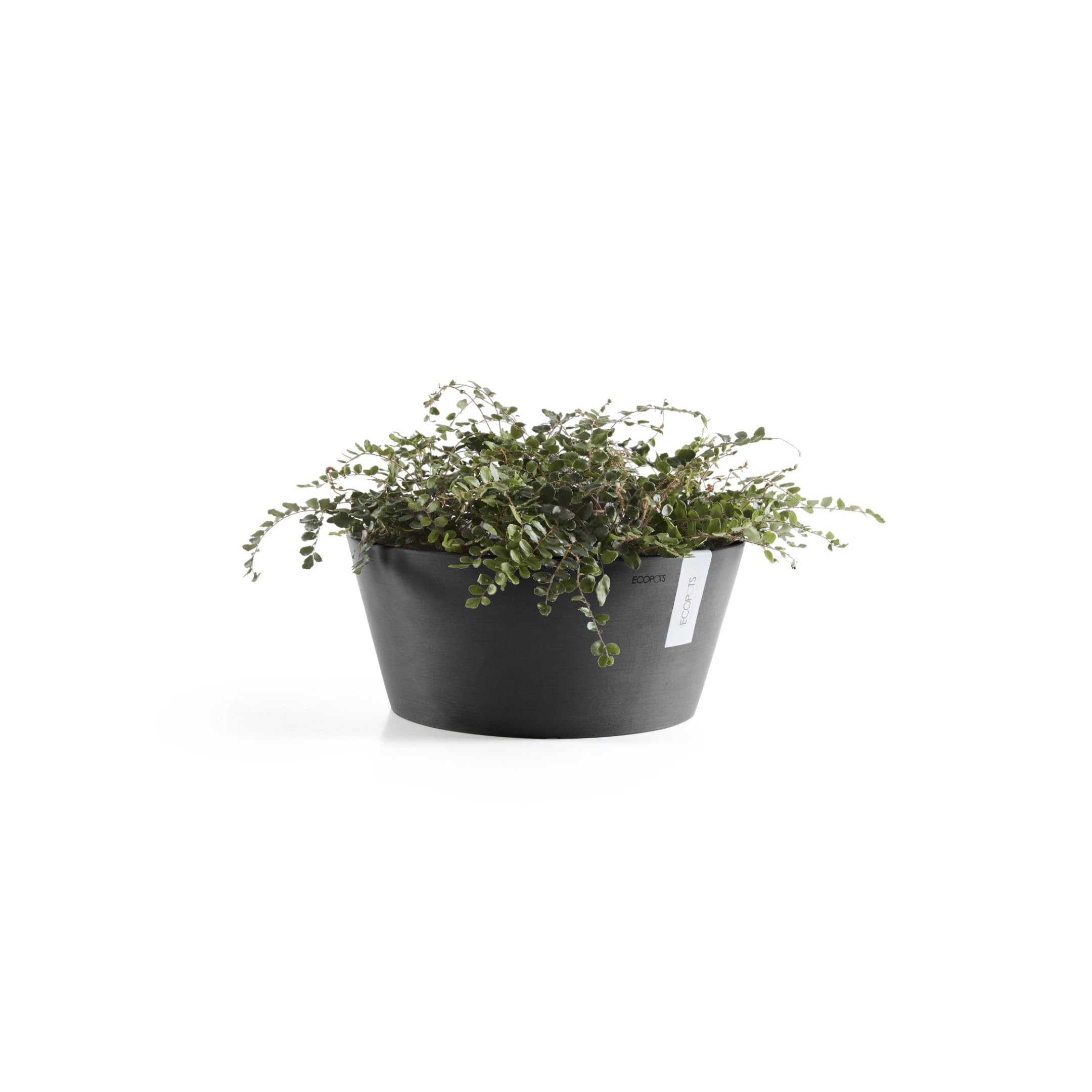 ecopots-frankfurt-pot-rond-gris-fonc-50-cm-int-rieur-et-ext-rieur image 2