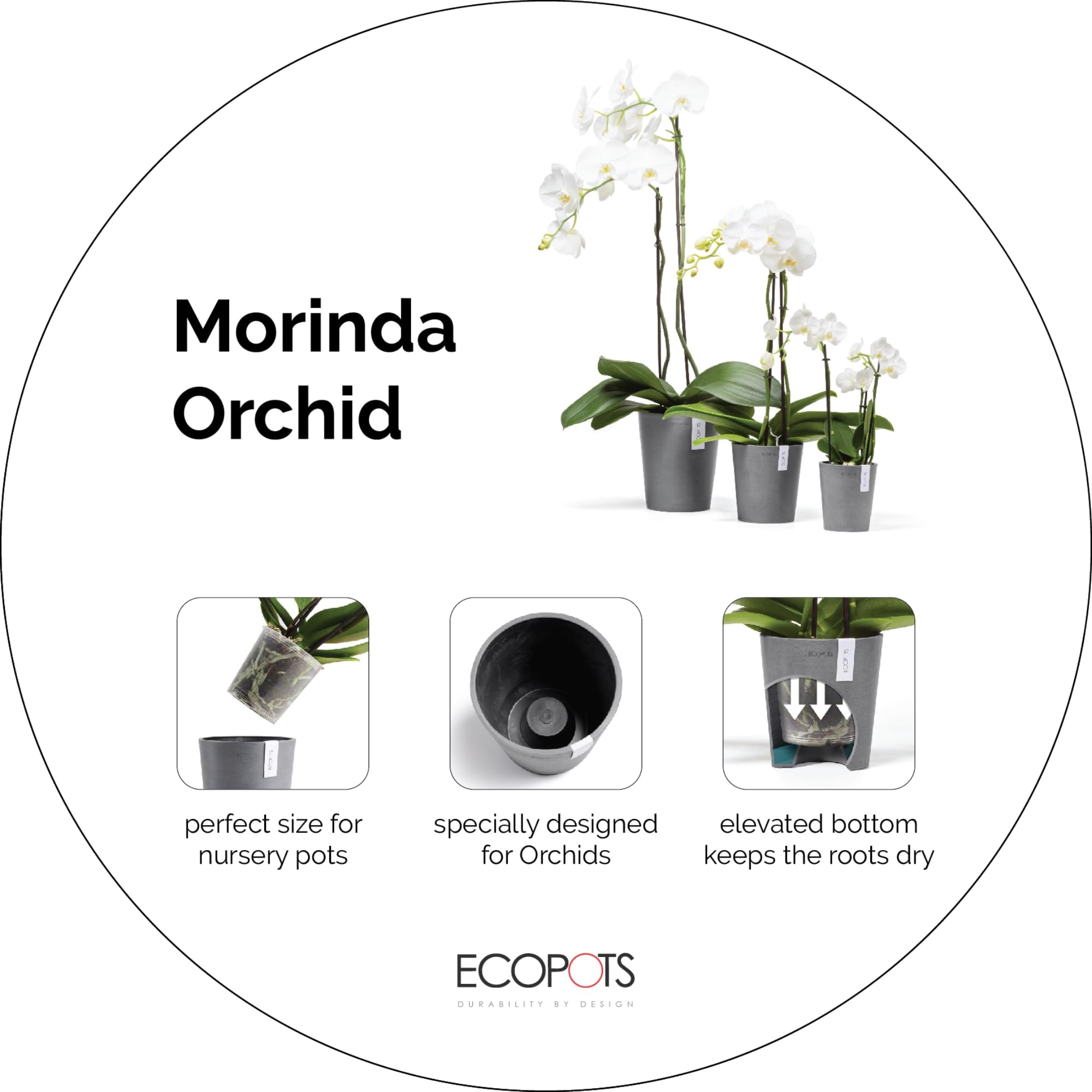 ecopots-morinda-pot-orchid-e-14-cm-blanc-plastique-recycl-base-sur-lev-e-anti-ex image 5