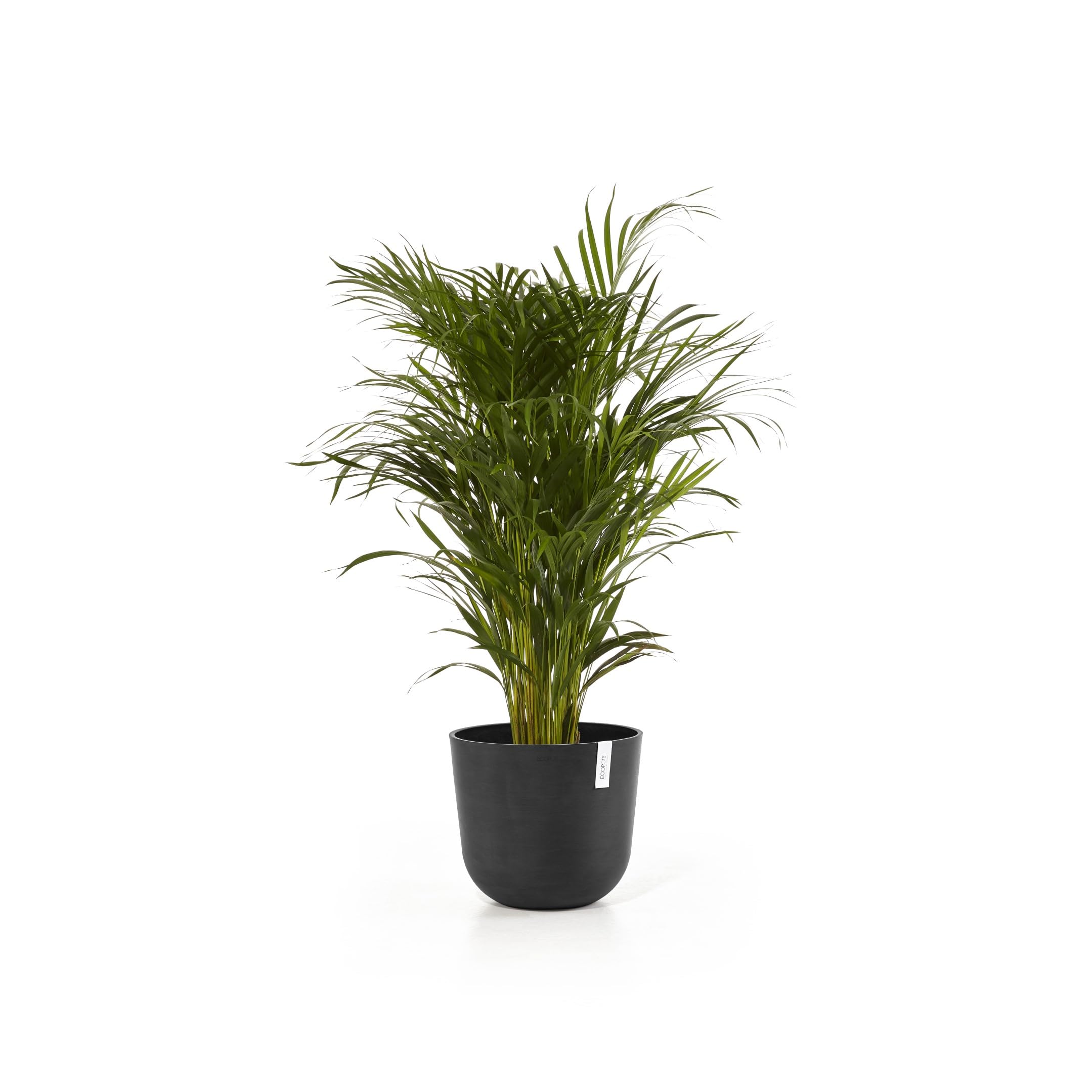 ecopots-pot-rond-oslo-35-gris-fonc-35-x-h-30-5-cm-21-7-l image 2