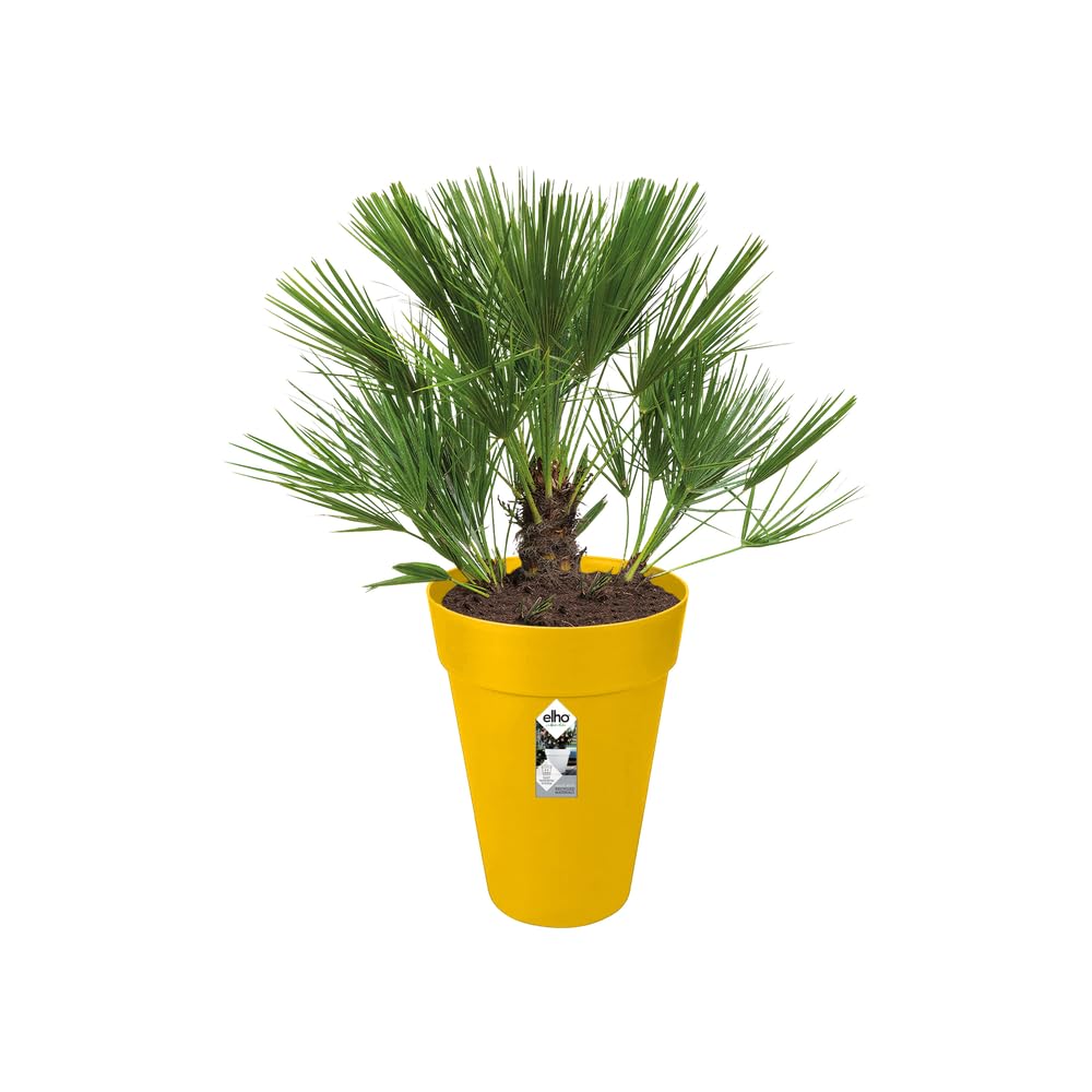 elho-loft-urban-rond-haut-35-pot-de-fleur-33-5-x-h-45-3-cm-ocre image 8