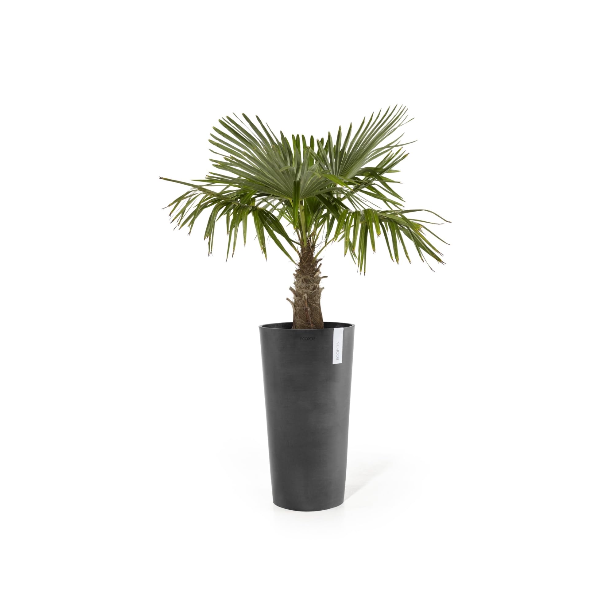 ecopots-pot-haut-amsterdam-66-gris-fonc-34-x-h-66-cm-35-6-l image 5