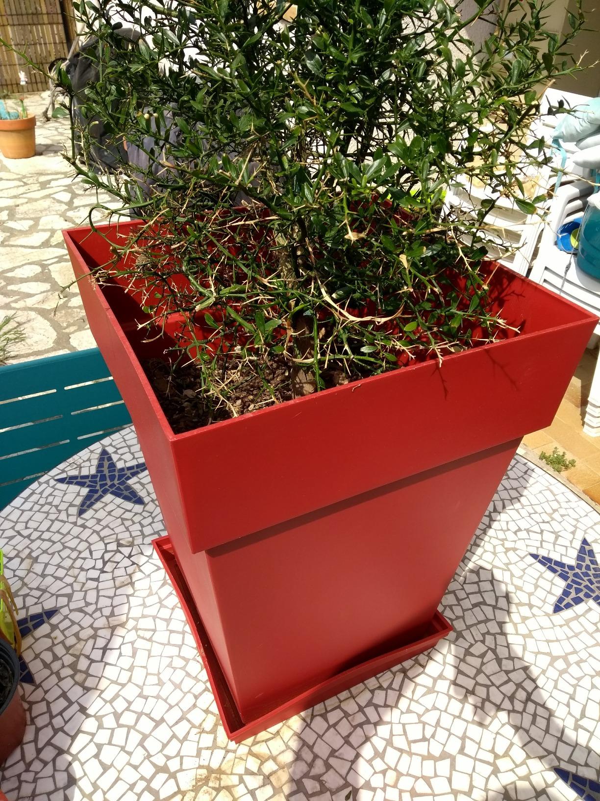 Parfaitement adaptée au pot Toscane