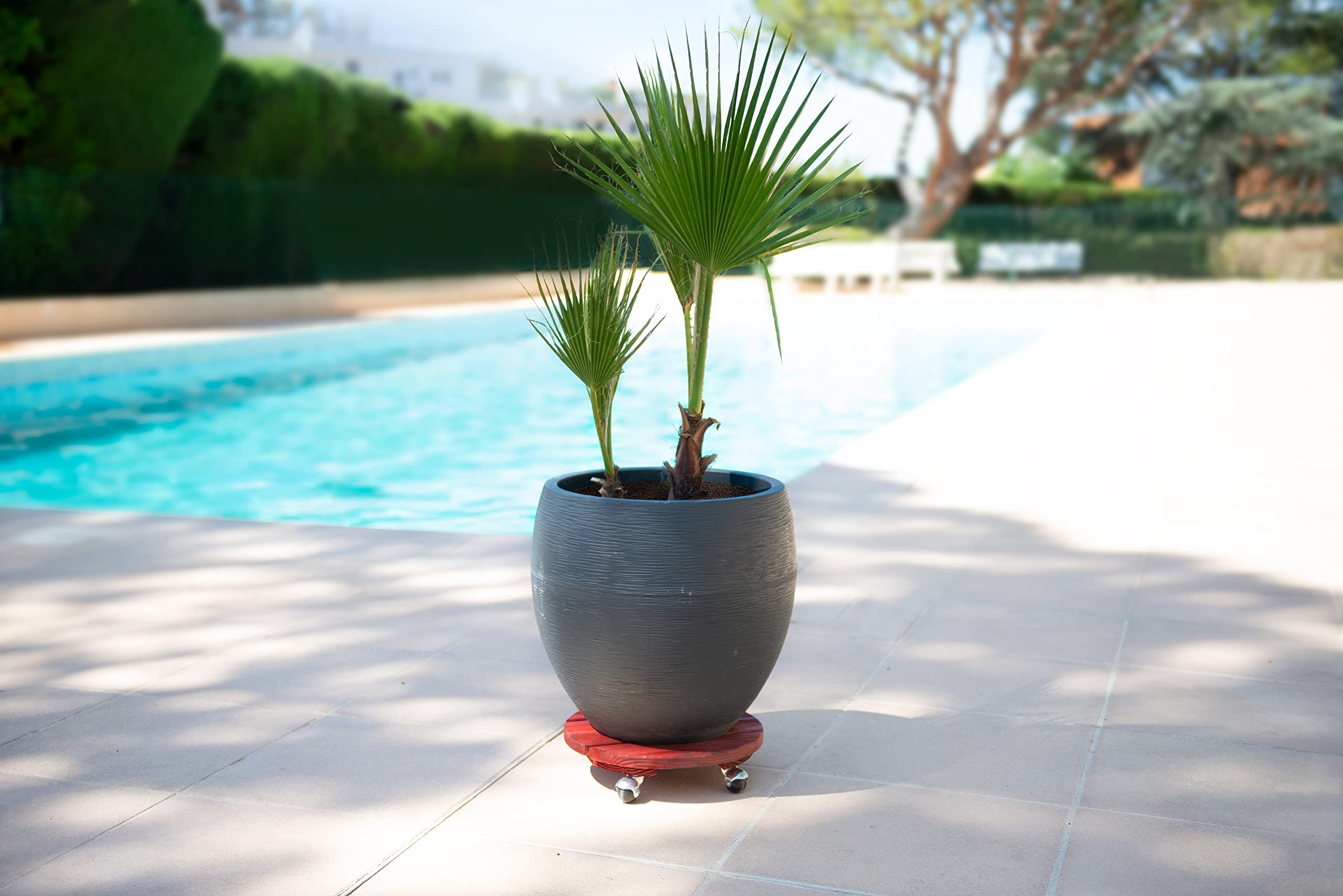 louis-moulin-roule-plante-bois-rond-30-cm-rouge image 3