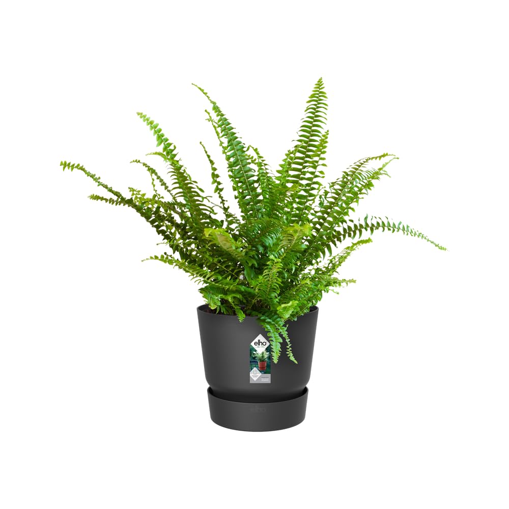 elho-greenville-easy-hanger-19-5-pot-suspendu-balcon-19-5-x-h-23-7-cm-living-noi image 7