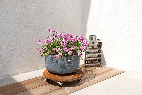 louis-moulin-roule-plante-bois-rond-37-5-cm-naturel image 7