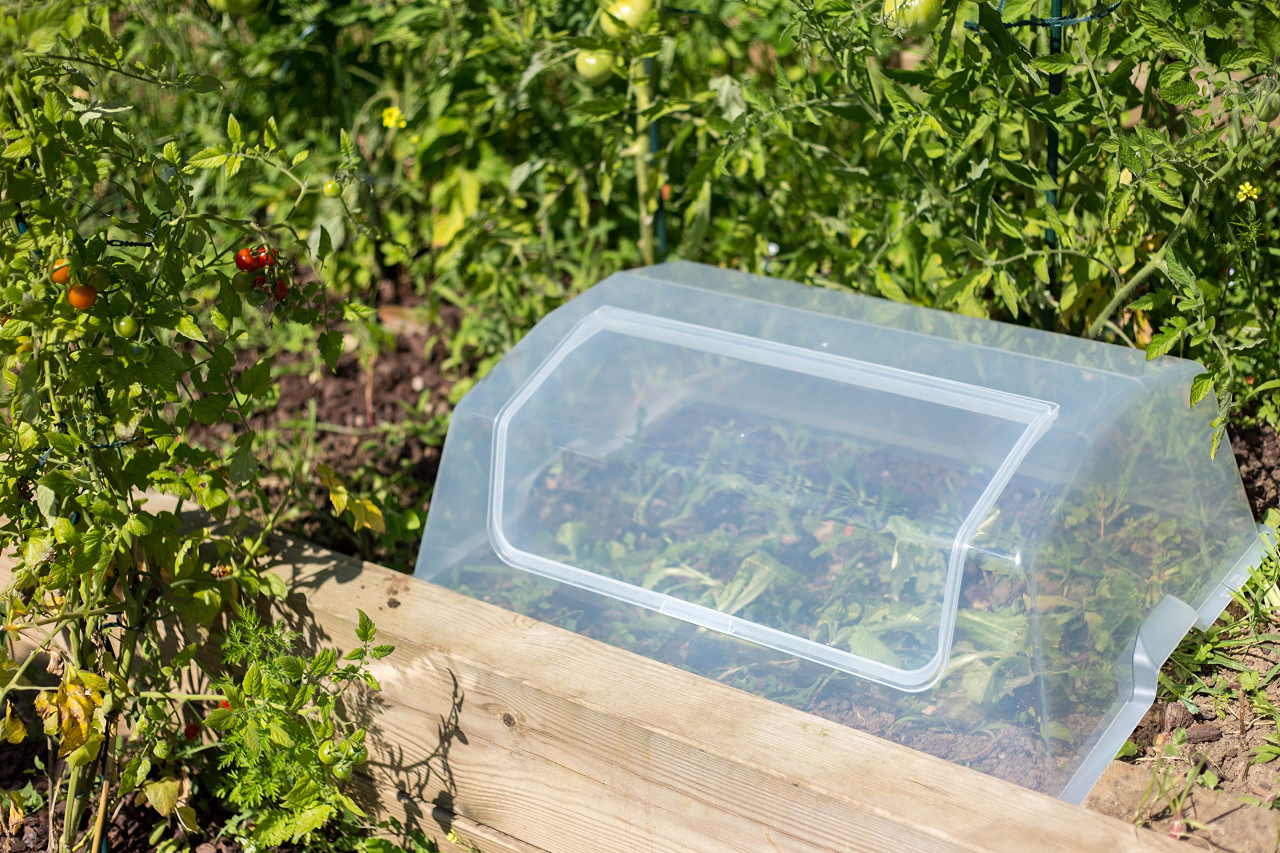 eda-serre-de-culture-pour-espace-potager-veg-table-max-transparent image 4