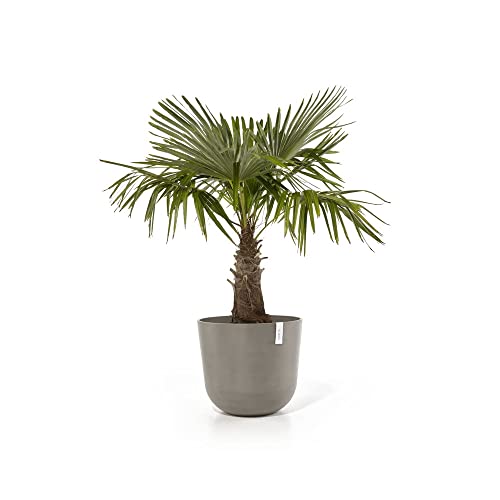 ecopots-oslo-55-pot-rond-taupe-55-x-h-47-9-cm-85-6-l image 5