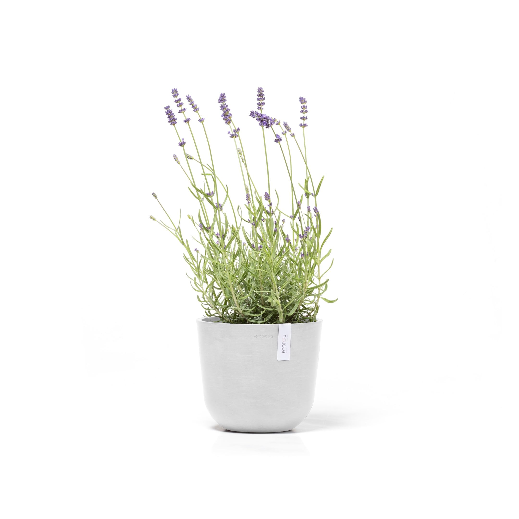 ecopots-oslo-pot-rond-blanc-19-cm-int-rieur-ext-rieur image 2