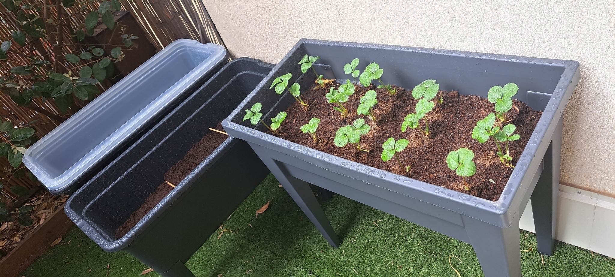 Idéale sur mon petit balcon