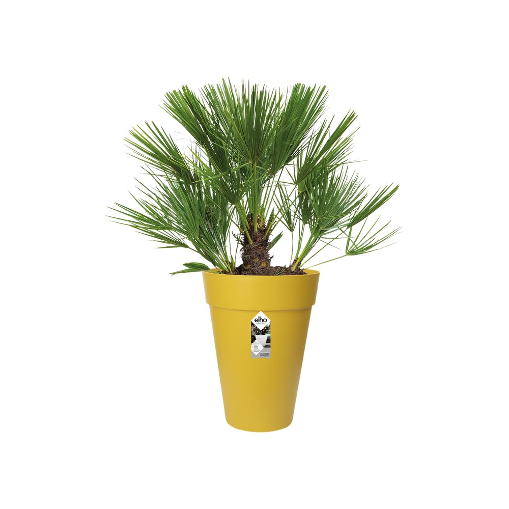 elho-loft-urban-rond-haut-35-pot-de-fleur-33-5-x-h-45-3-cm-ocre image 3