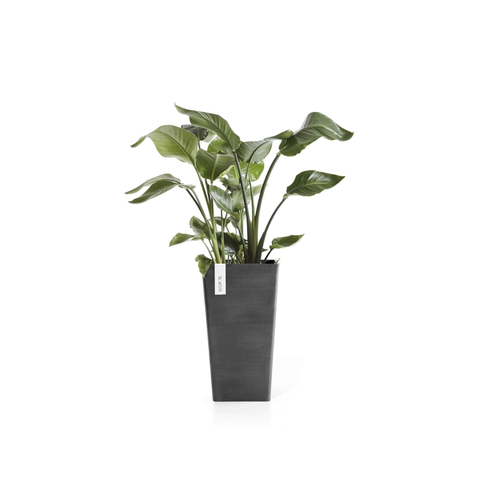 ecopots-rotterdam-haut-gris-fonc-31-x-31-x-h-56-cm-36-2-l image 4