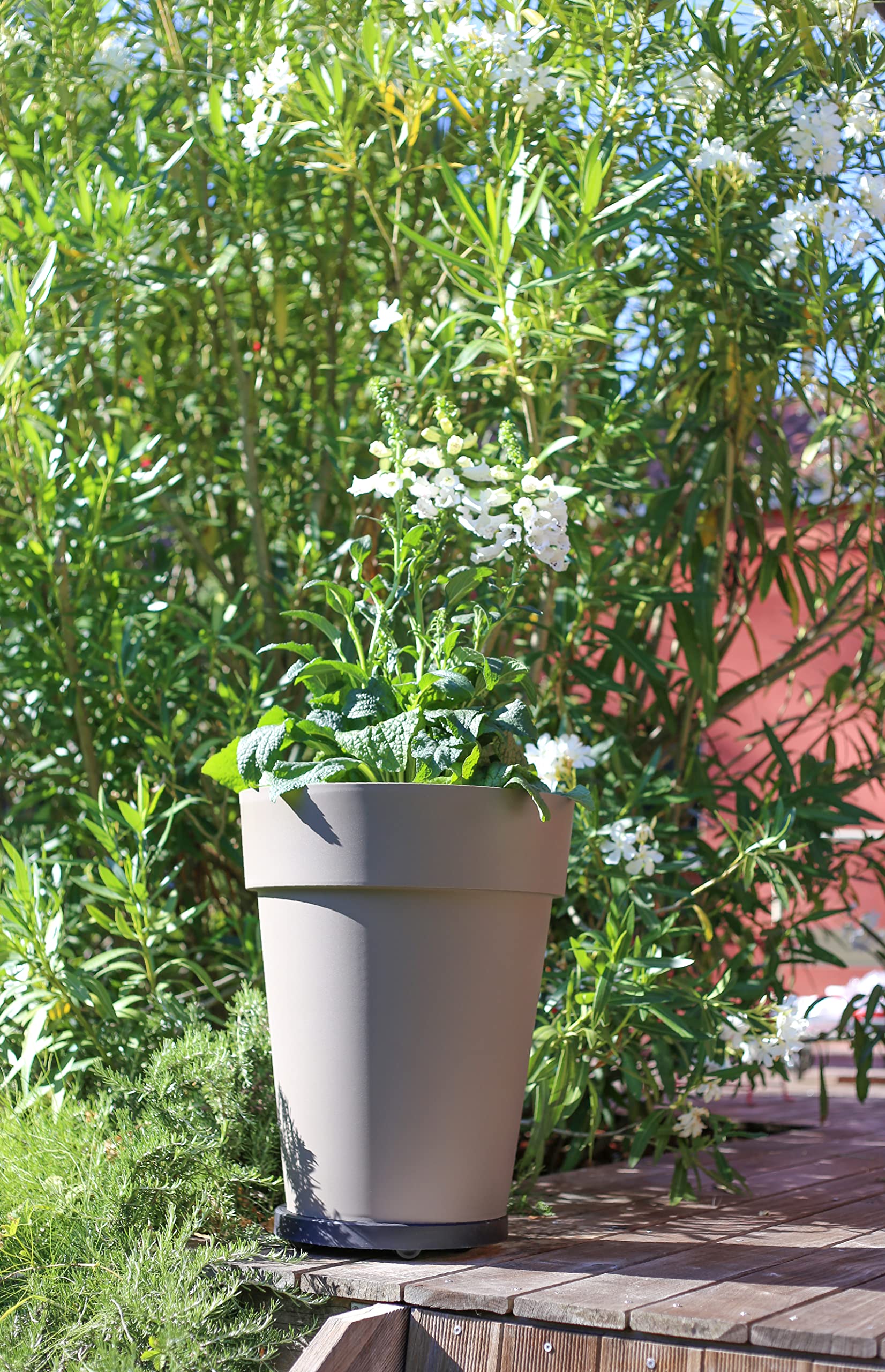 eda-support-roulettes-plantes-30-cm-150-kg-gris-ardoise-imitation-pierre image 2