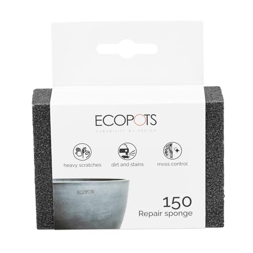 ecopots-ponge-d-entretien-pour-pots image 5