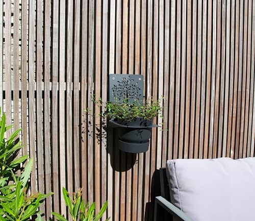 louis-moulin-support-mural-arbre-de-vie-porte-pot-mural-noir-24-x-17-5-cm image 6