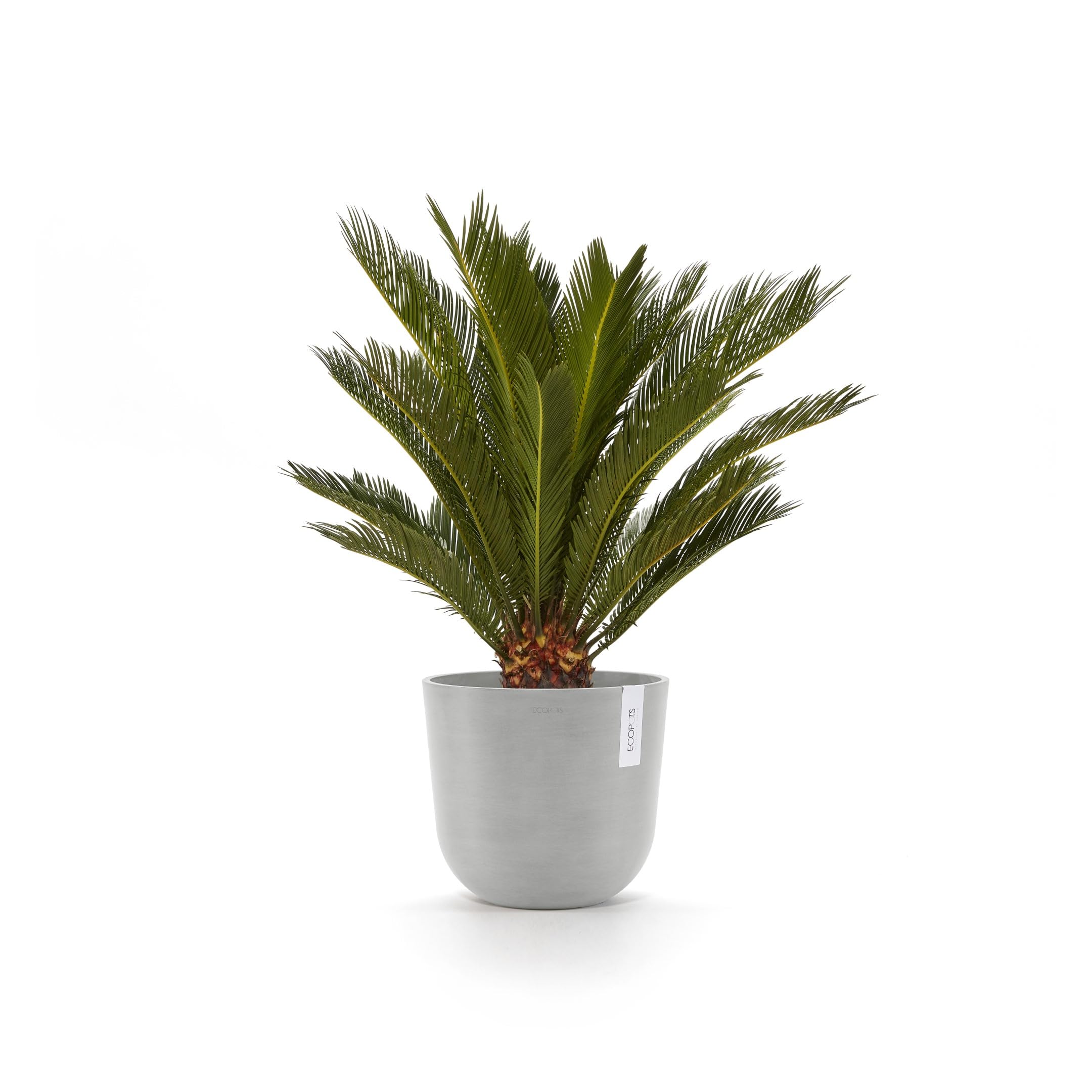 ecopots-oslo-25-pot-rond-blanc-gris-avec-r-servoir-d-eau-25-x-h-21-8-cm-7-7-l image 4