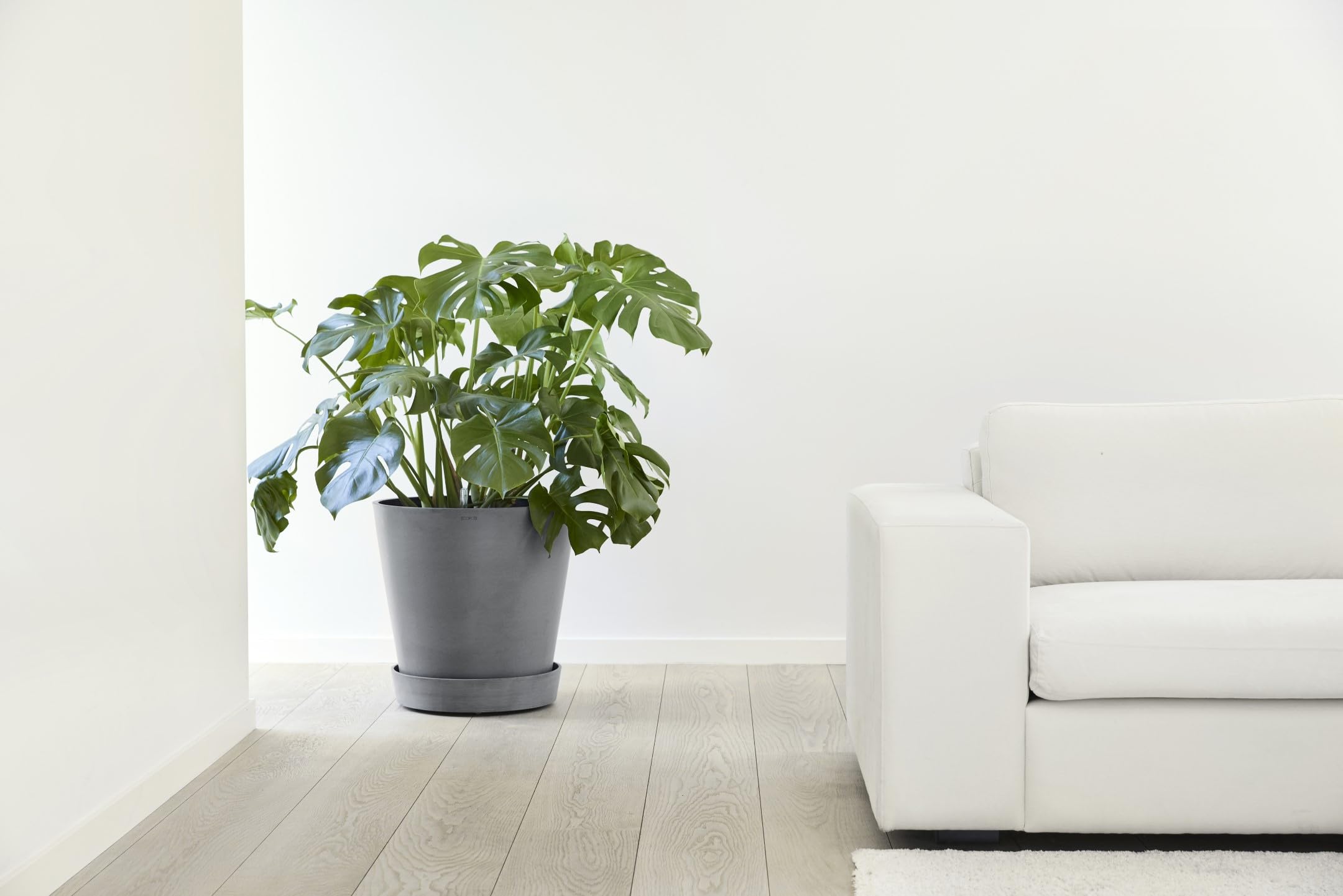 ecopots-plateau-amsterdam-sur-roues-41-6-cm-gris image 8