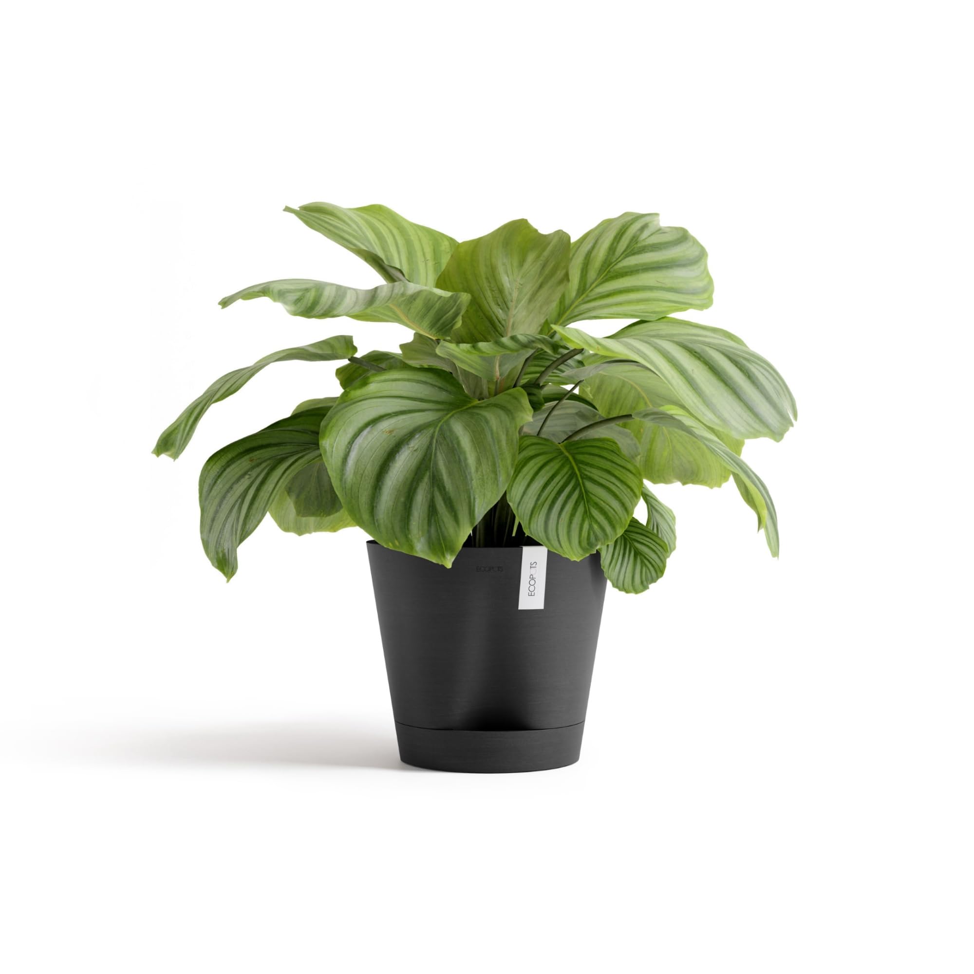 ecopots-venice-2-pot-rond-avec-r-servoir-d-eau-30-cm-gris-fonc-4-l image 3