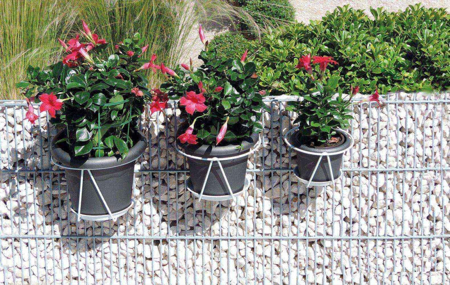 louis-moulin-porte-pots-soucoupe-crochet-25-cm-blanc-fixation-balcon image 2
