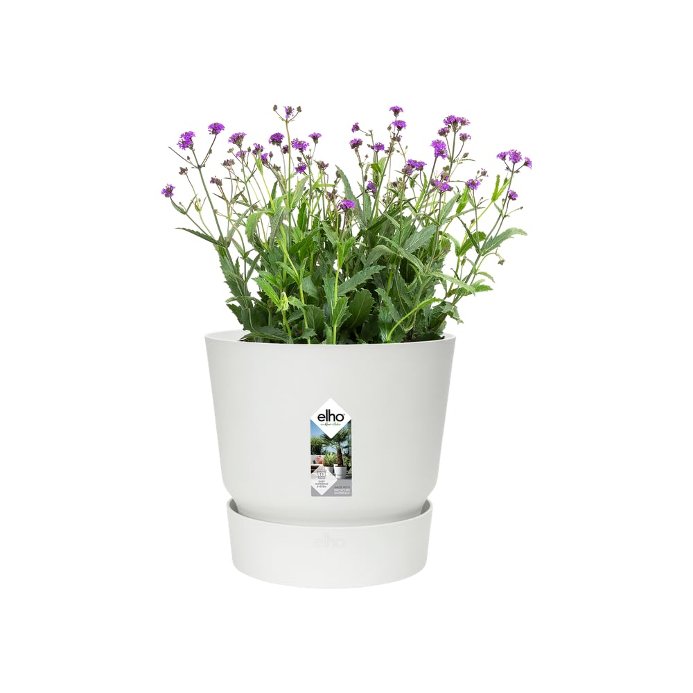 elho-greenville-rond-25-cm-pot-de-fleur-blanc-avec-soucoupe-int-gr-e image 8