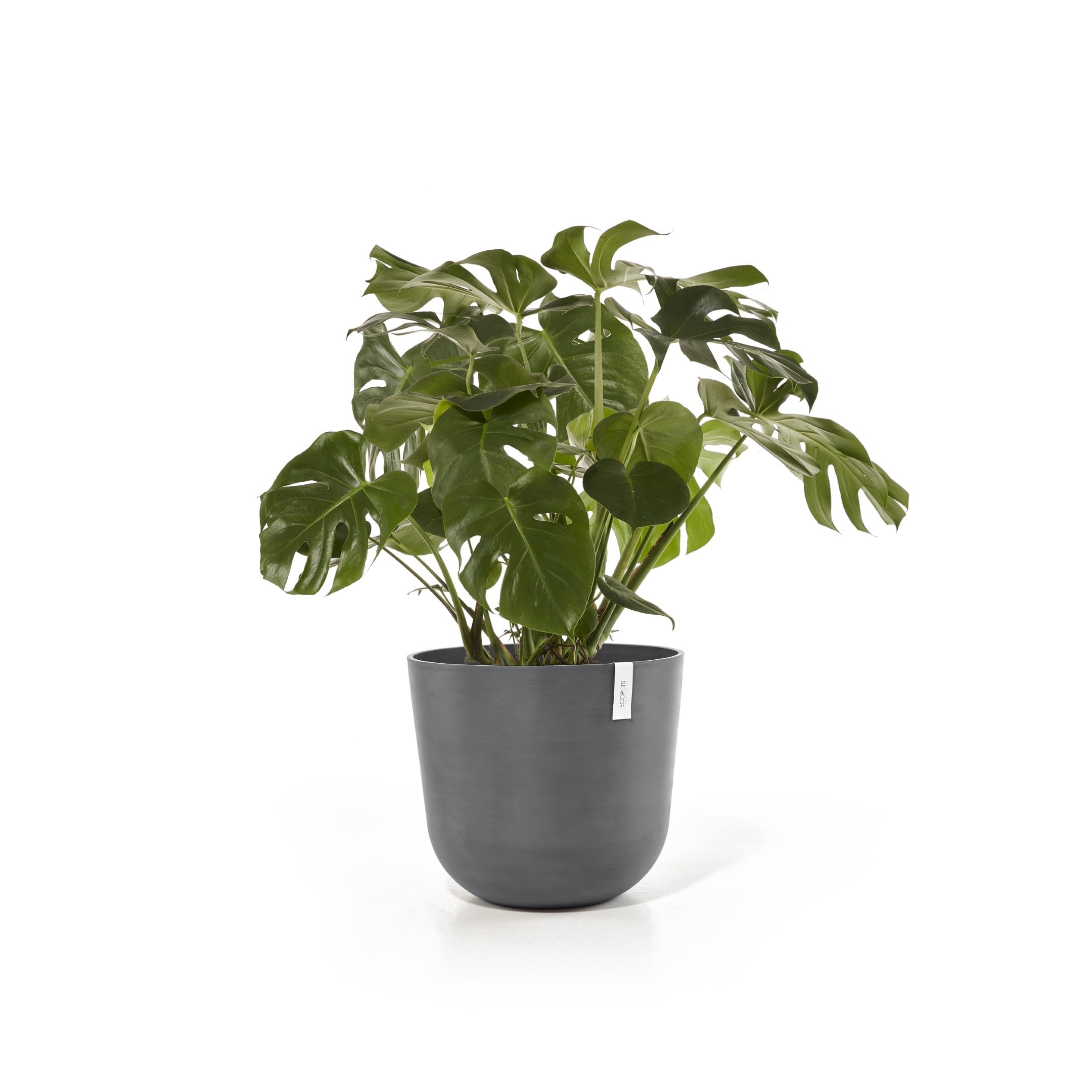 ecopots-oslo-55-pot-rond-avec-r-servoir-d-eau-gris-55-x-h-47-9-cm-85-6-l image 3