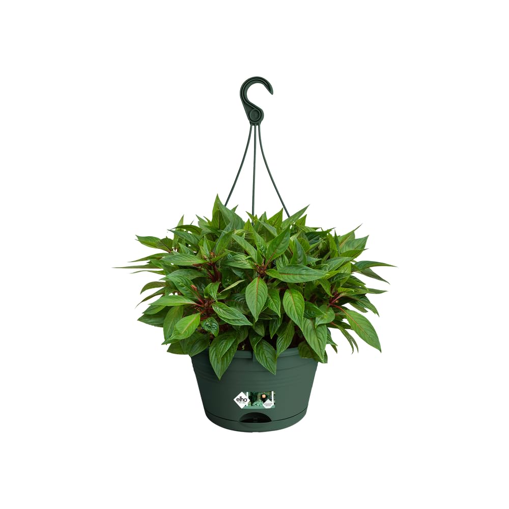 elho-green-basics-suspension-28cm-balconni-re-avec-soucoupe-int-gr-e-leaf-green image 3