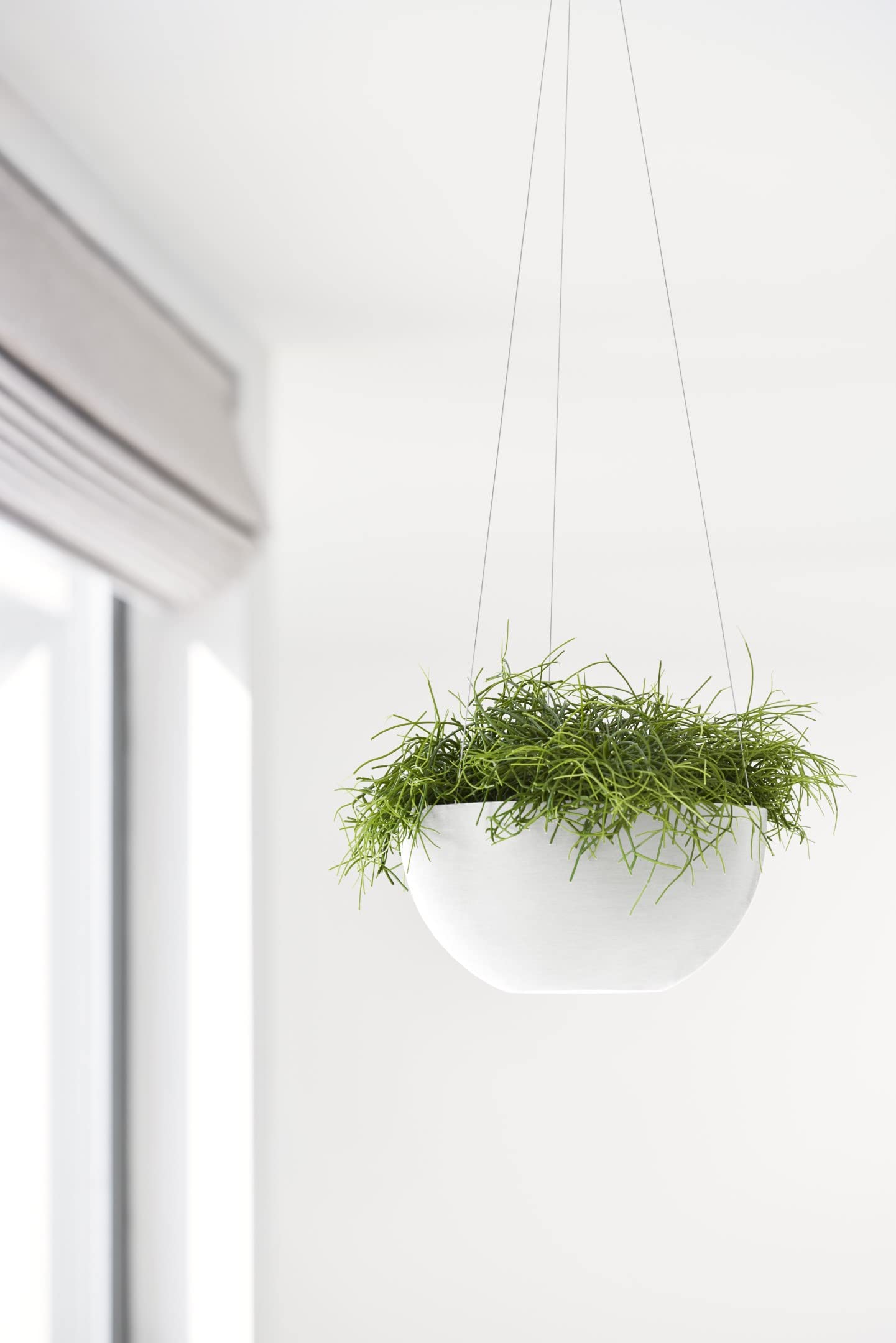 ecopots-bruxelles-pot-suspendu-rond-27-cm-blanc-plastique-recycl image 4