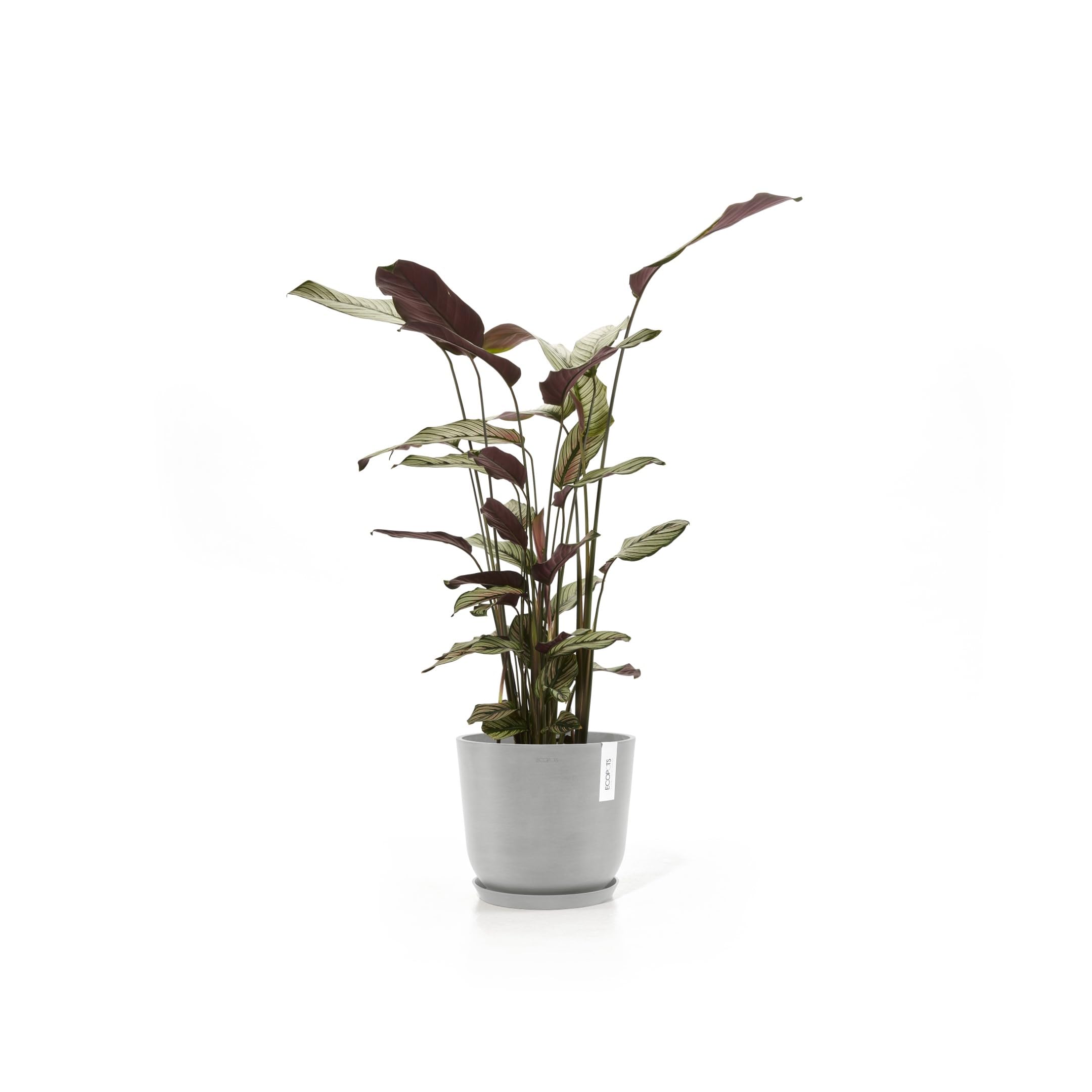 ecopots-oslo-25-pot-rond-blanc-gris-avec-r-servoir-d-eau-25-x-h-21-8-cm-7-7-l image 8