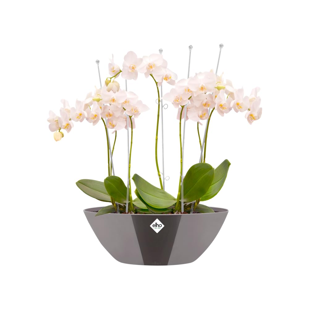 elho-brussels-diamond-ovale-20cm-pot-de-fleur-gris-perle image 3