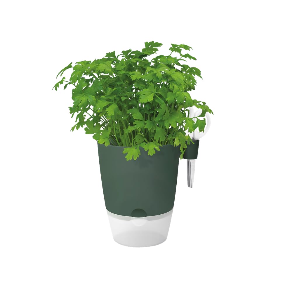 elho-brussels-herbes-all-in-1-13-pot-herbes-auto-arrosant-16-0-x-h-21-5-cm-vert- image 3