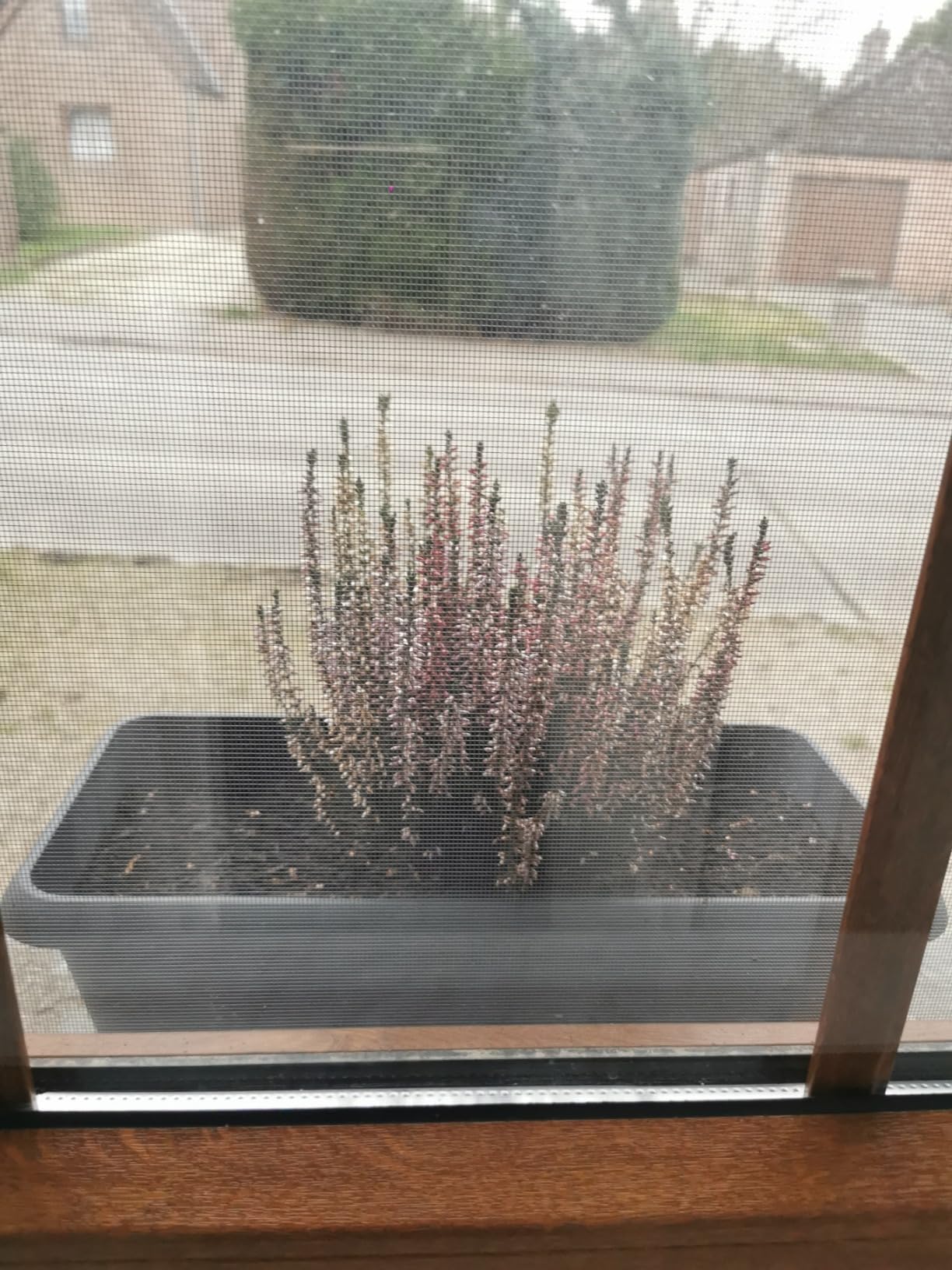 Trop petite réserve à mon goût