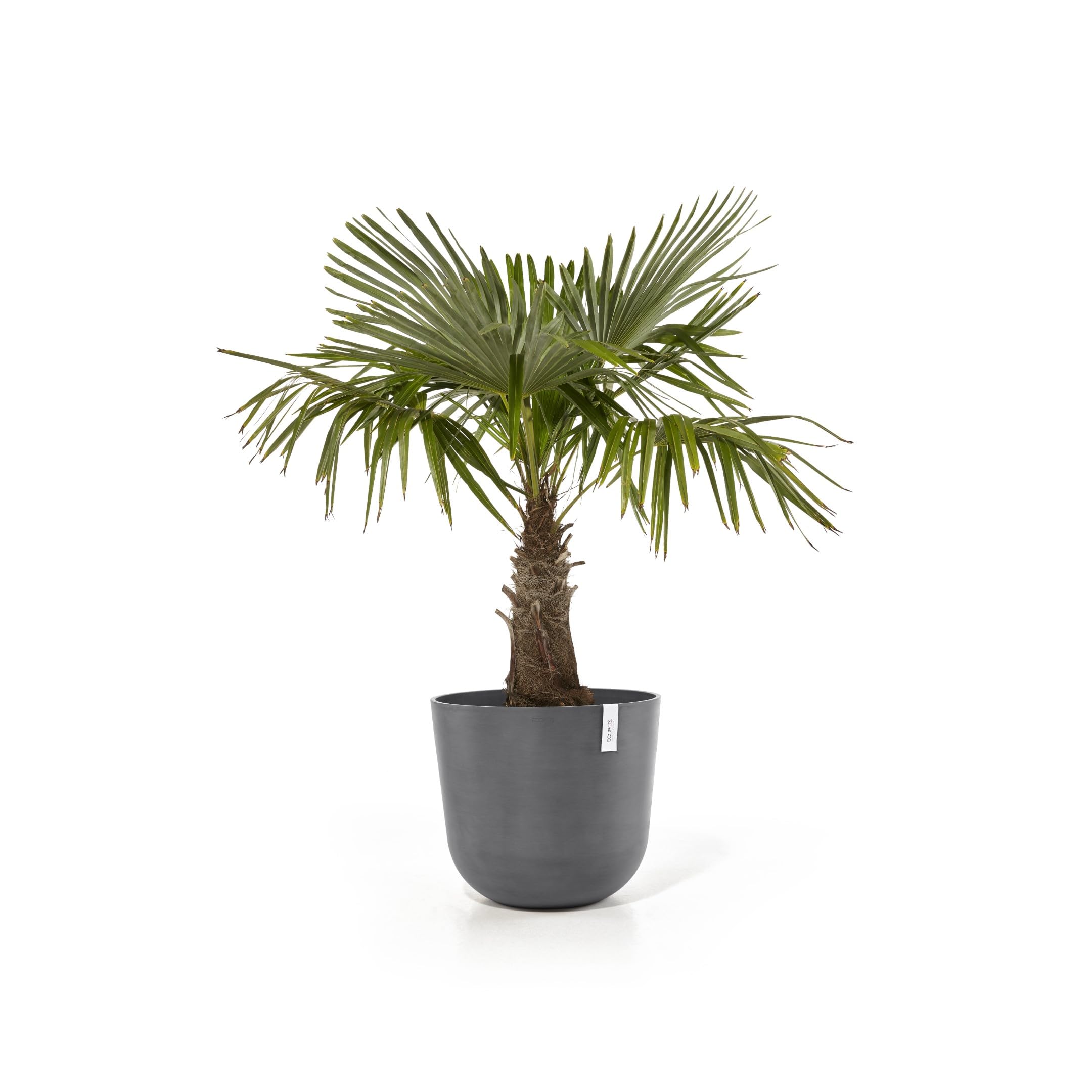 ecopots-oslo-55-pot-rond-avec-r-servoir-d-eau-gris-55-x-h-47-9-cm-85-6-l image 2